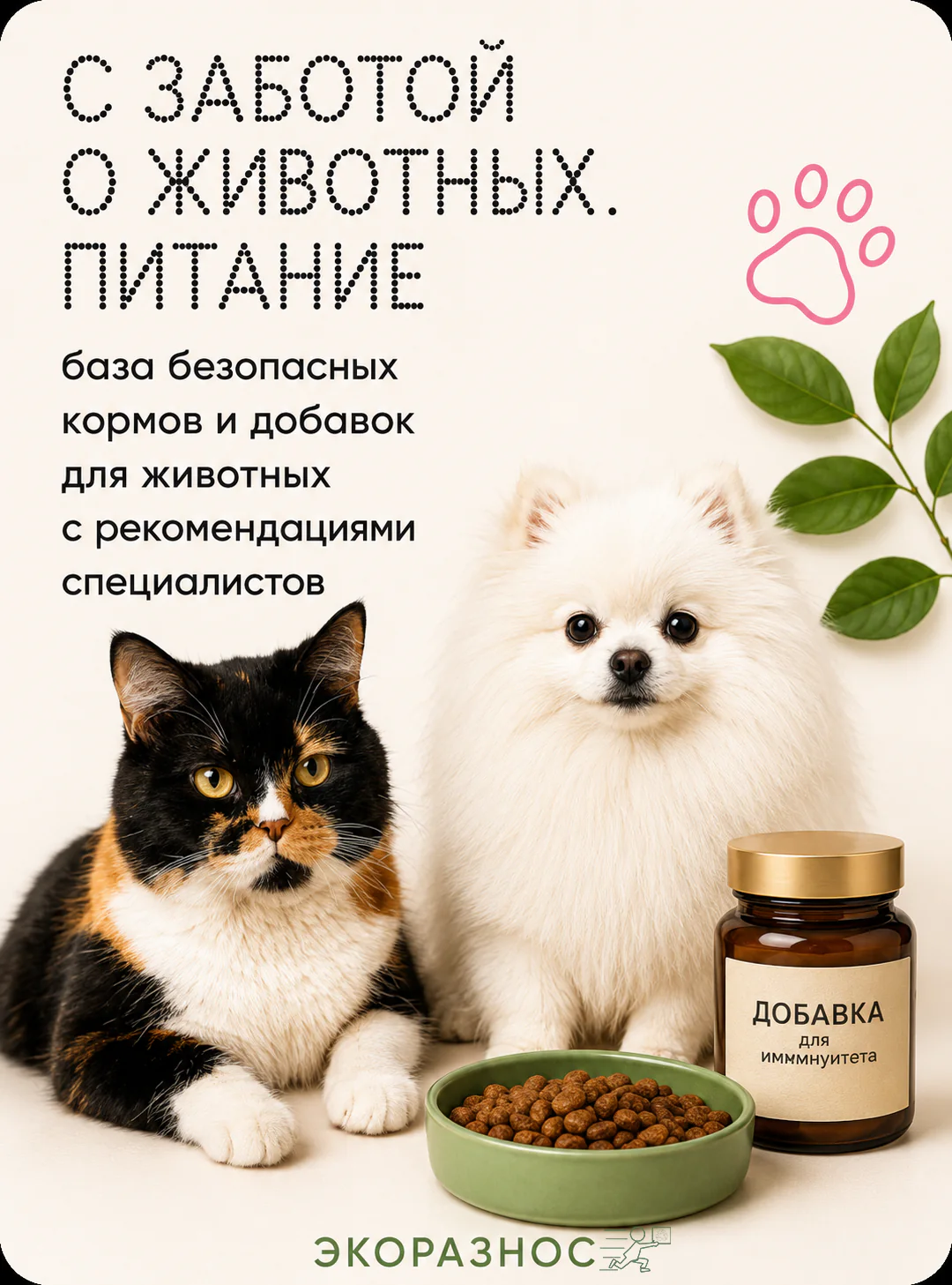 С заботой о животных: питание и уход