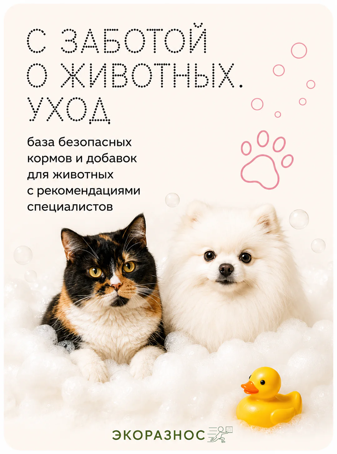 С заботой о животных. Уход